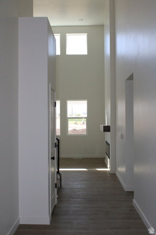 Media Image 2