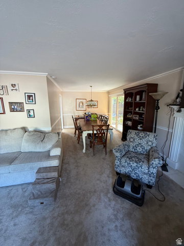 Media Image 3