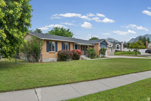 Media Image 3