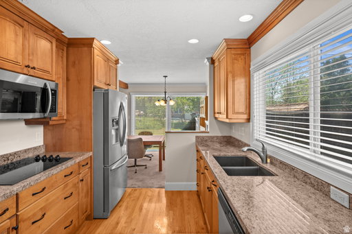 Media Image 3