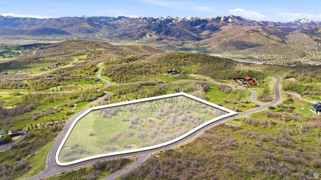 Media Image 1
