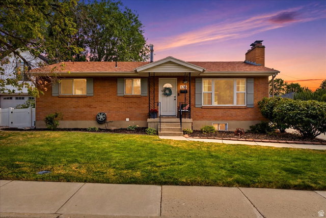 Media Image 1