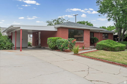 Media Image 3