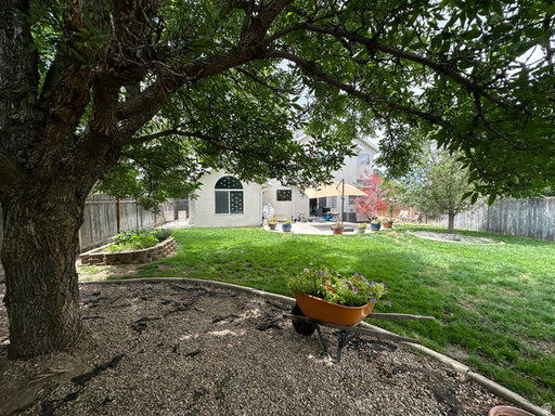 Media Image 3