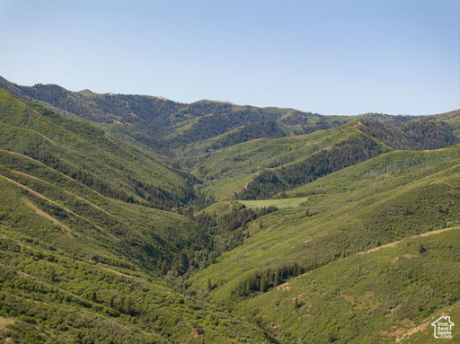 Media Image 2