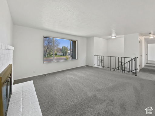 Media Image 3