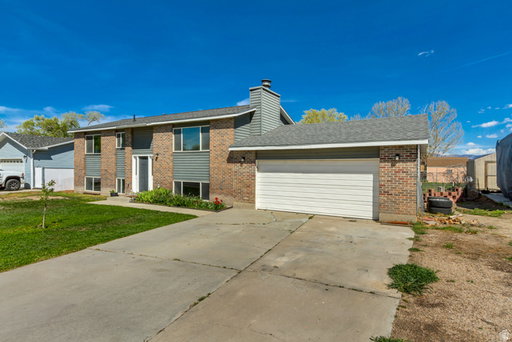 Media Image 3