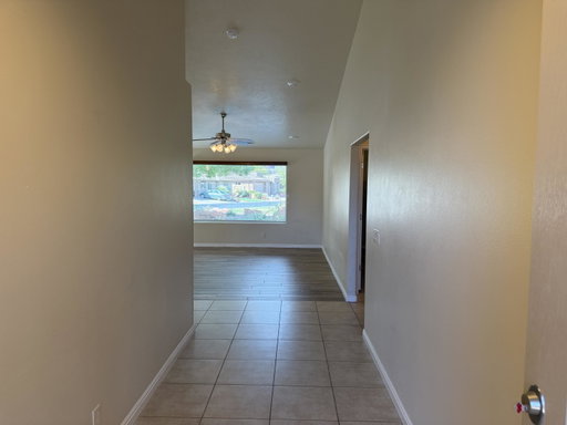 Media Image 3