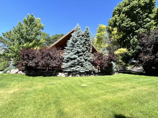 Media Image 3