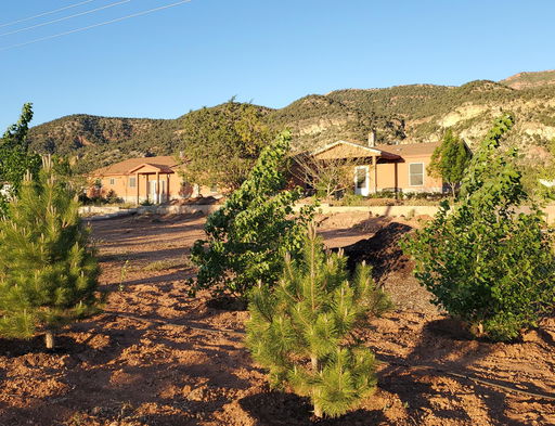 Media Image 2