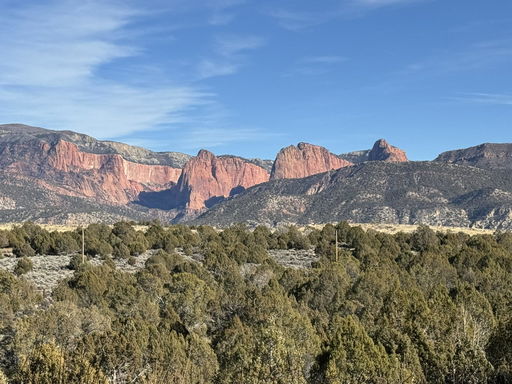 Media Image 2