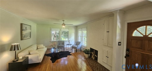 Media Image 3