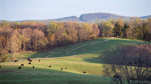 Media Image 2