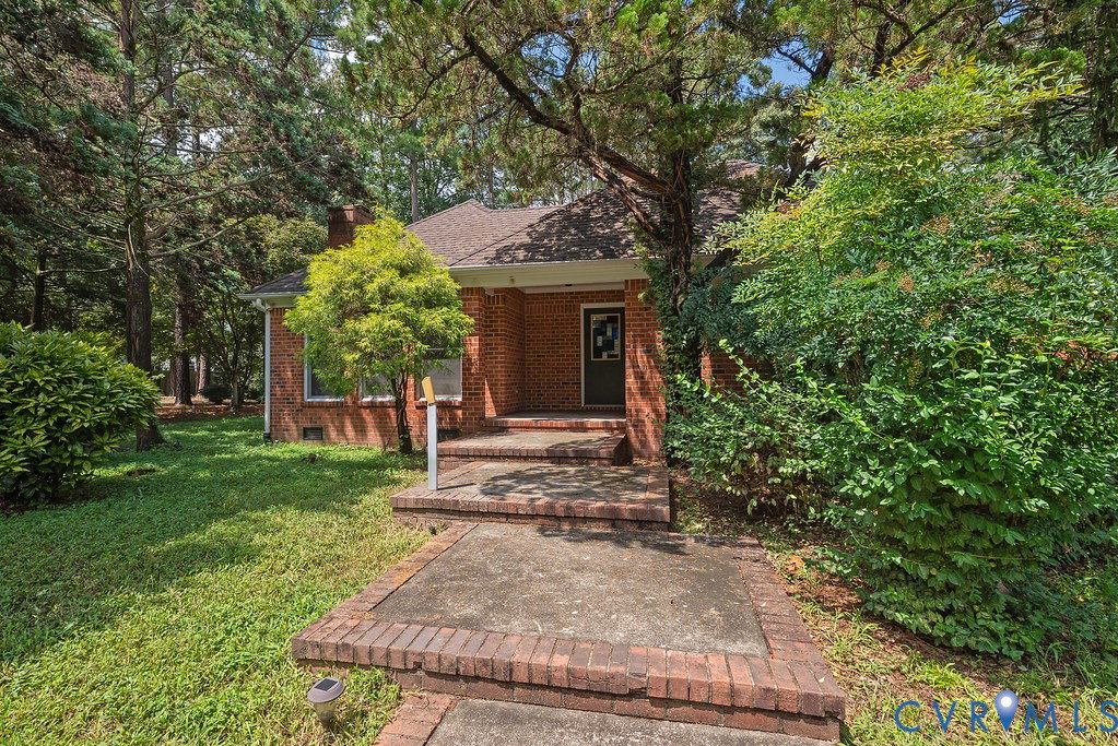 Media Image 1