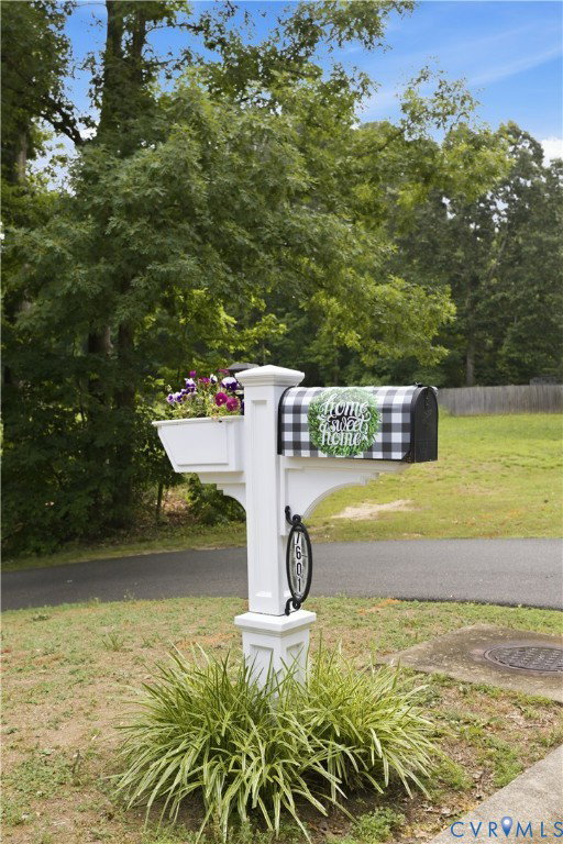 Media Image 3