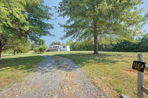 Media Image 3