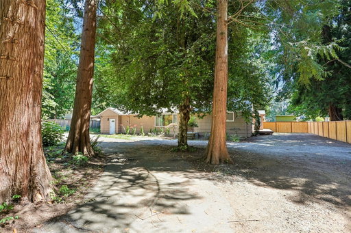 Media Image 3