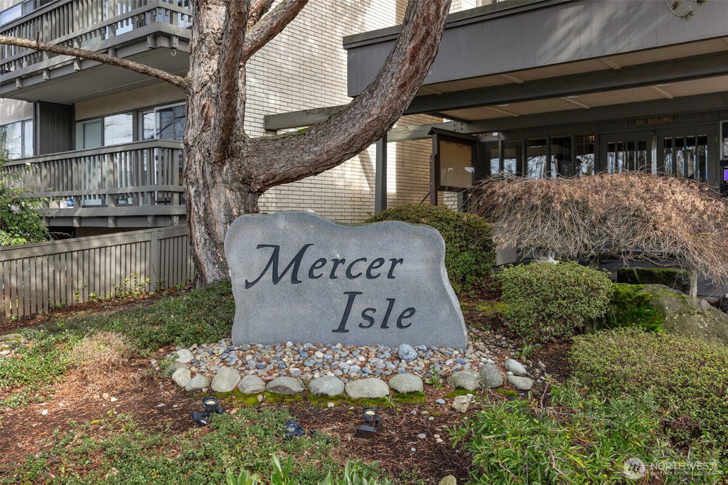 Media Image 1