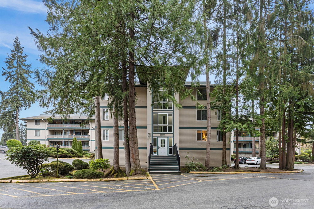 Media Image 1