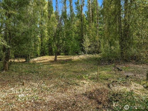 Media Image 2