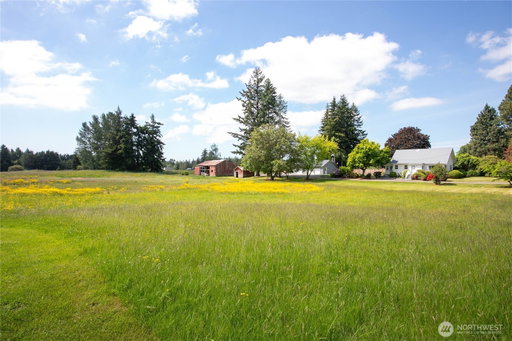 Media Image 2
