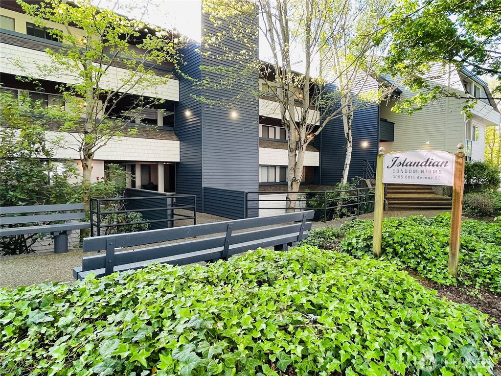 Media Image 1