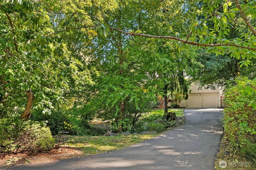 Media Image 2