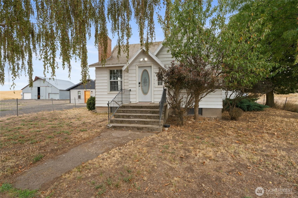 Media Image 1