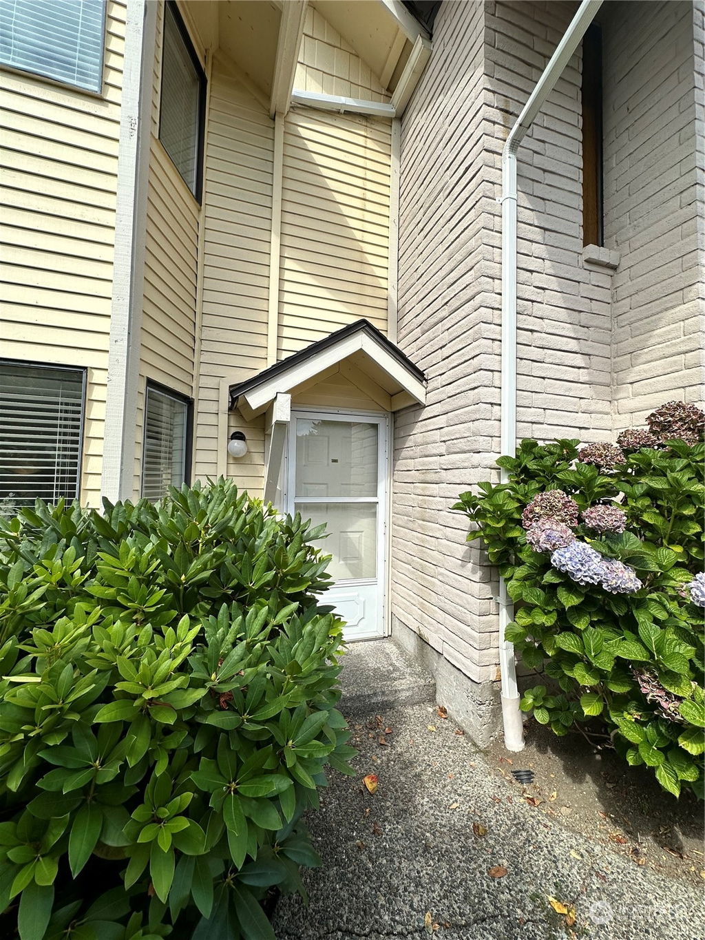 Media Image 1