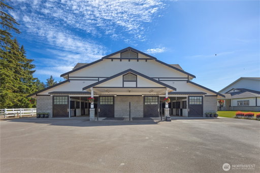 Media Image 2