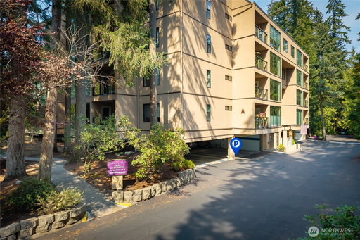 Media Image 2
