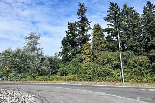Media Image 2