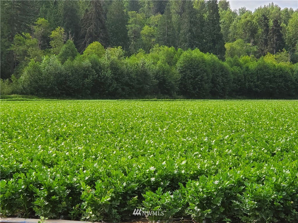 Image Unavailable
