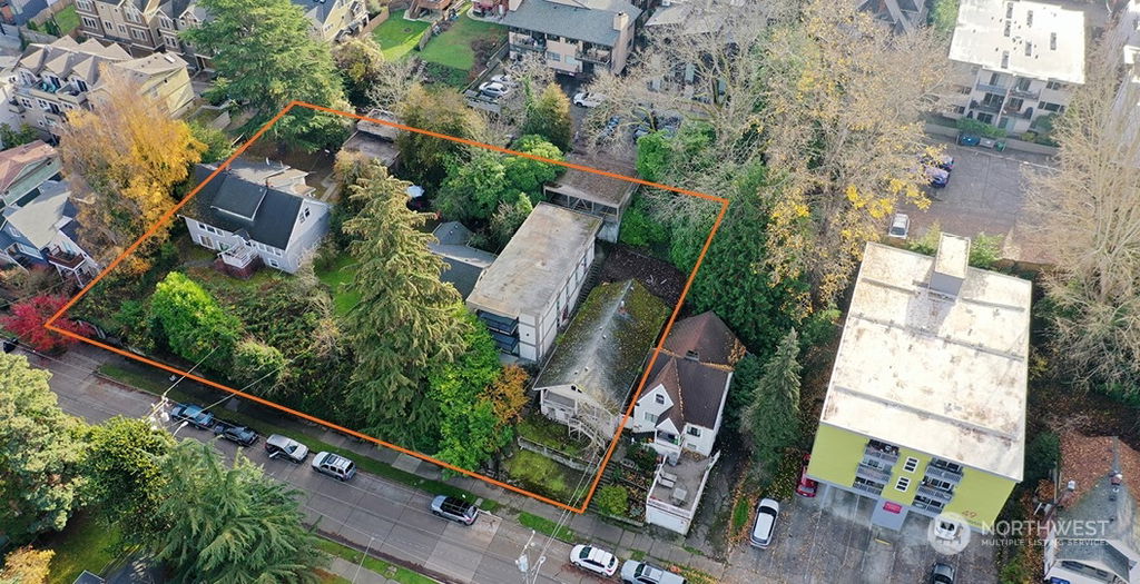 Media Image 1