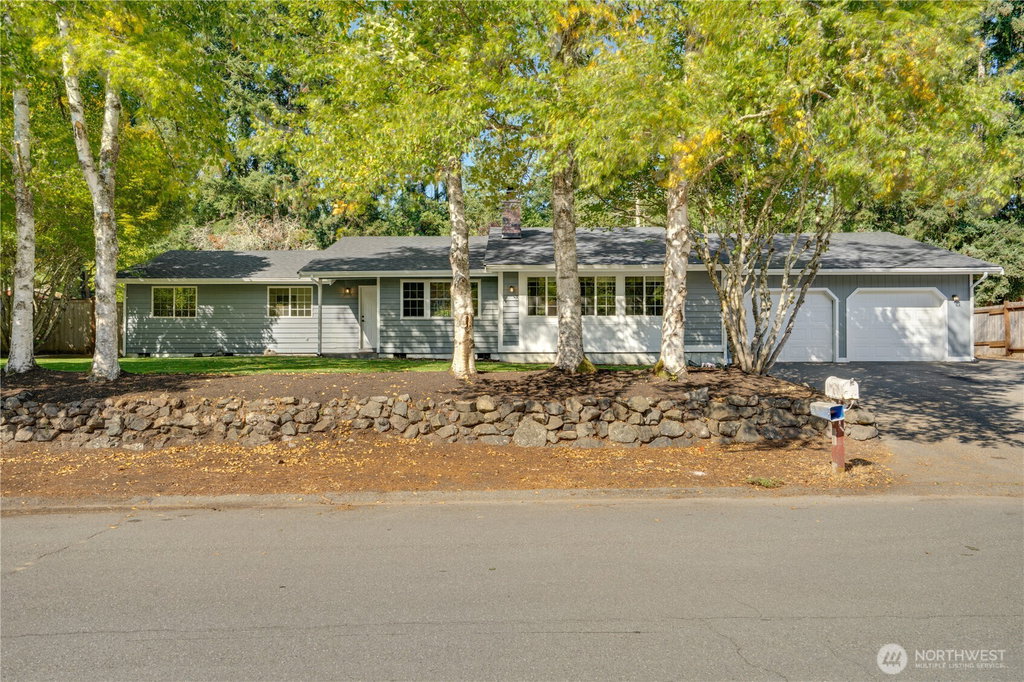 Media Image 1