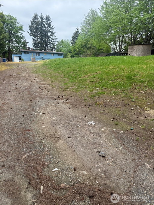 Media Image 2