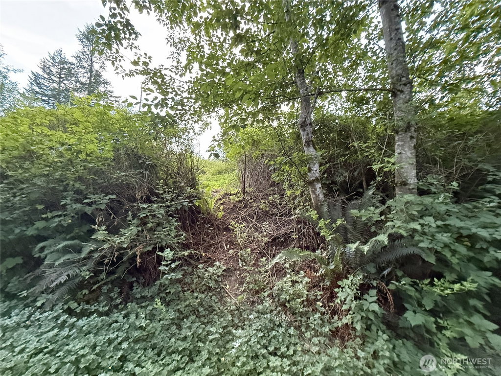 Image Unavailable