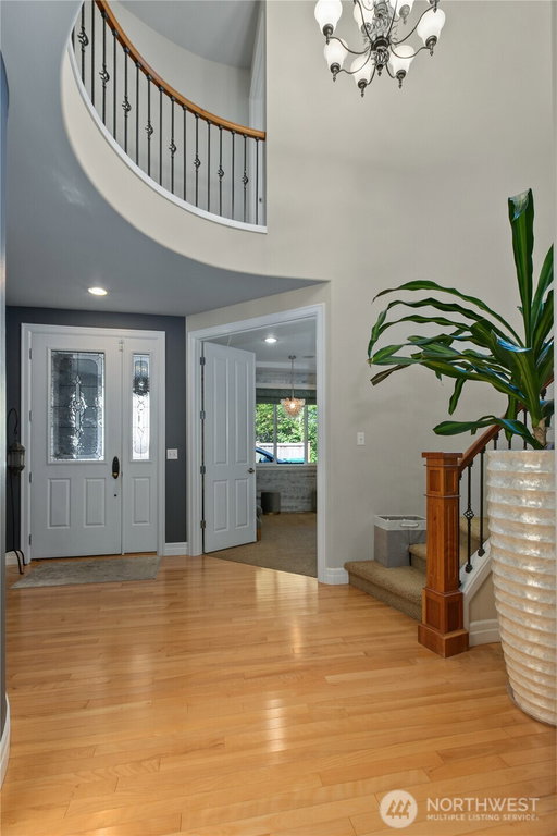 Media Image 3