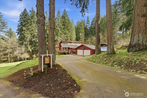 Media Image 2