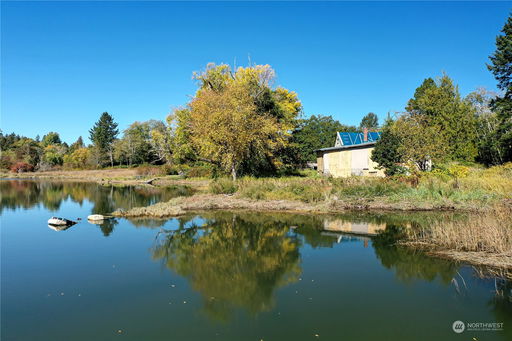 Media Image 3