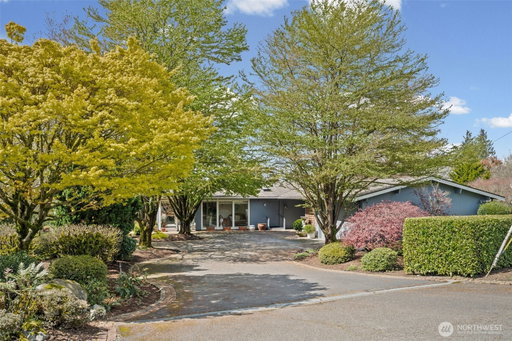 Media Image 2