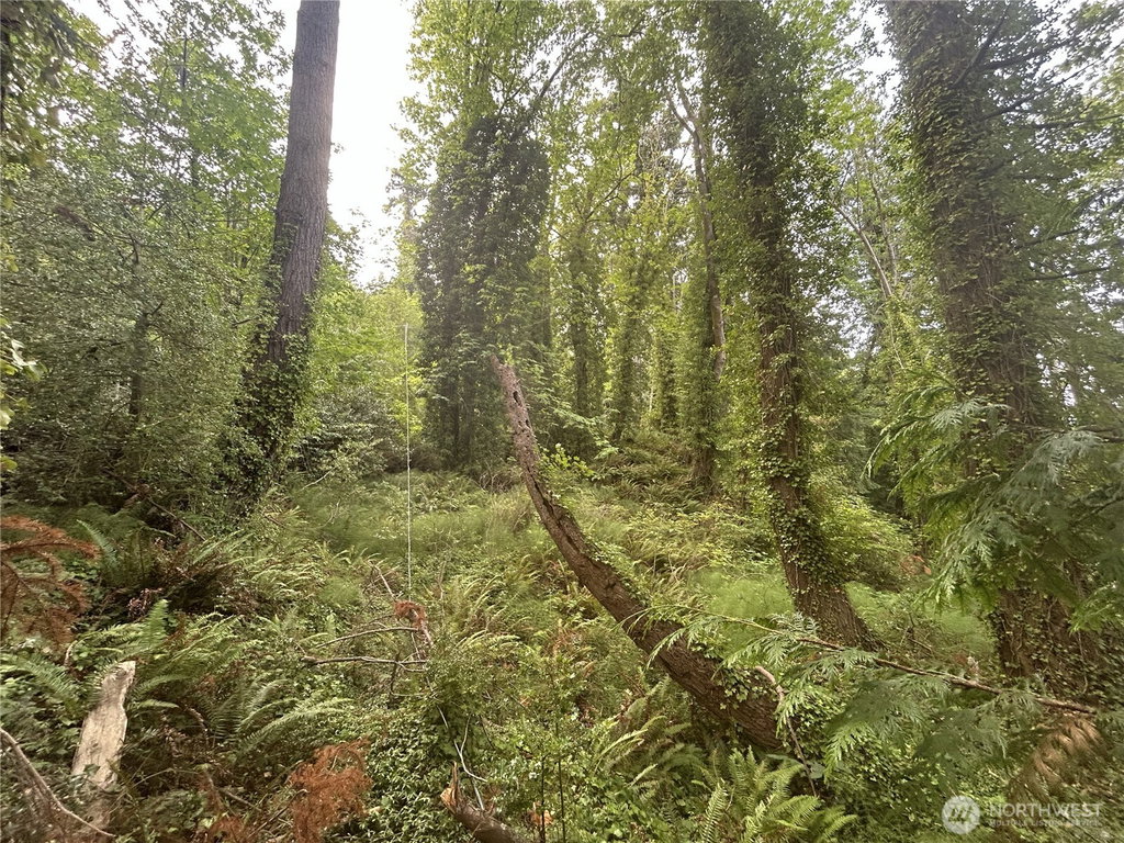 Image Unavailable