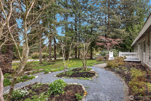 Media Image 3