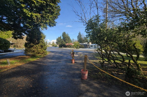 Media Image 3