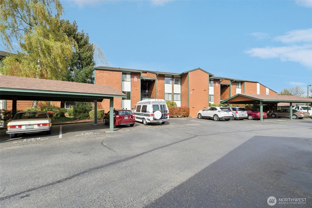 Media Image 1