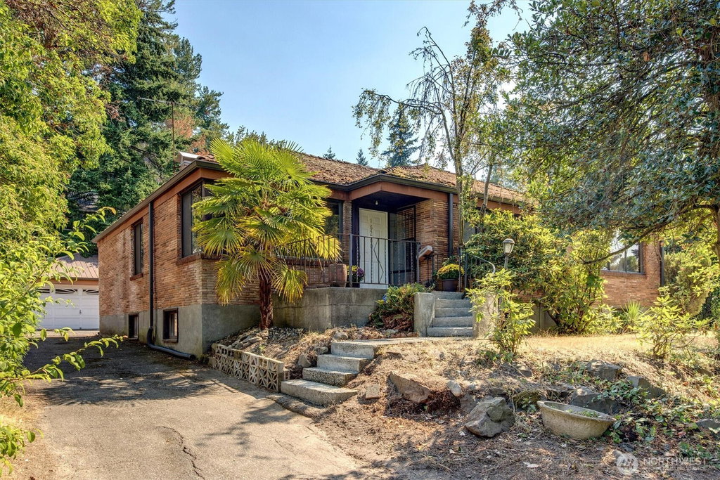 Media Image 1