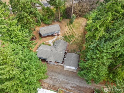 Media Image 3