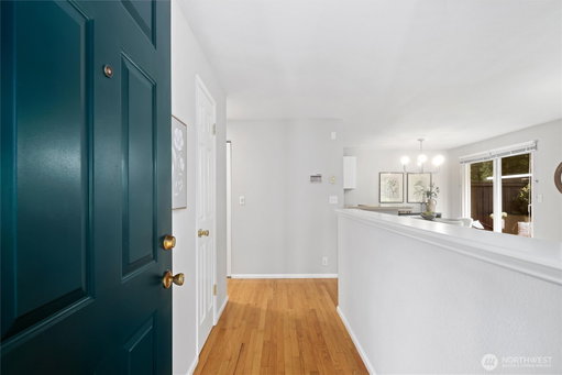 Media Image 3