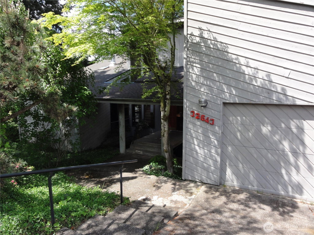 Media Image 1