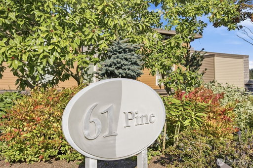 Media Image 3